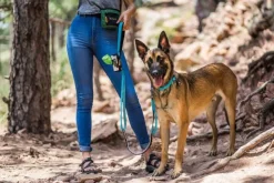 OllyDog Urban Trail Adjustable Spring Leash Air Blue| Taluttimet