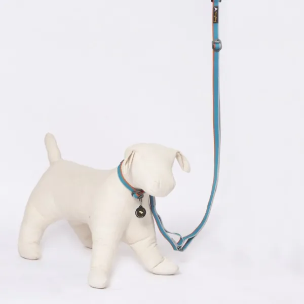 OllyDog Taluttimet^Urban Trail Adjustable Leash talutin, sininen