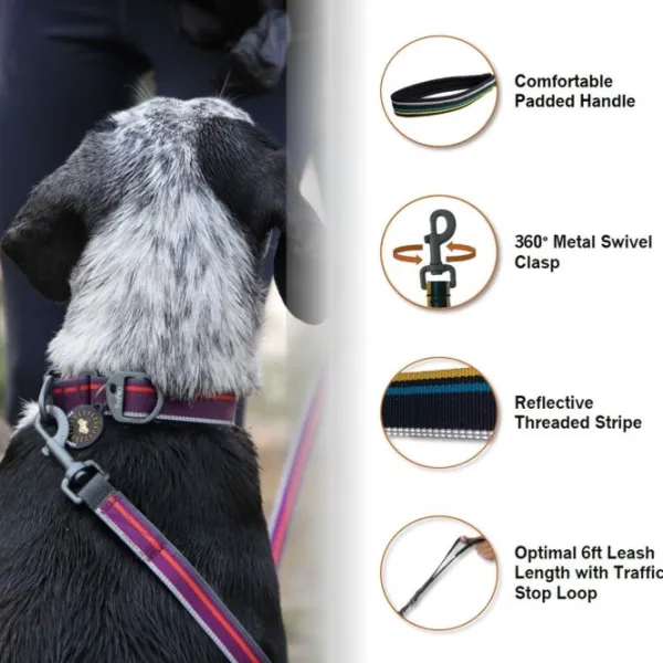 OllyDog Taluttimet^Urban Trail Adjustable Leash talutin, sininen