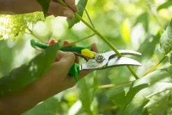 Opinel Hand Pruner -puutarhasakset, vihreä| Puukot