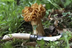 Opinel Mushroom Knife No8 Beechwood 8 cm| Sieniveitset