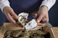 Opinel Keittiöveitset^Oyster & Shellfish Knife No09 Padouk 6,5 cm