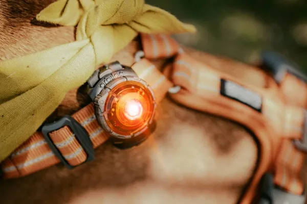 Orbiloc Dual -turvavalo, Amber| Vilkkuvalot Ja Huomiotuotteet