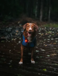 Orbiloc Dual -turvavalo, punainen| Vilkkuvalot Ja Huomiotuotteet