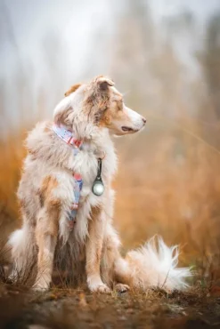 Orbiloc Vilkkuvalot Ja Huomiotuotteet^Dual -turvavalo, valkoinen