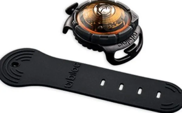 Orbiloc K9 Active Pack setti| Vilkkuvalot Ja Huomiotuotteet