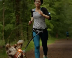 Orbiloc K9 Active Pack setti| Vilkkuvalot Ja Huomiotuotteet