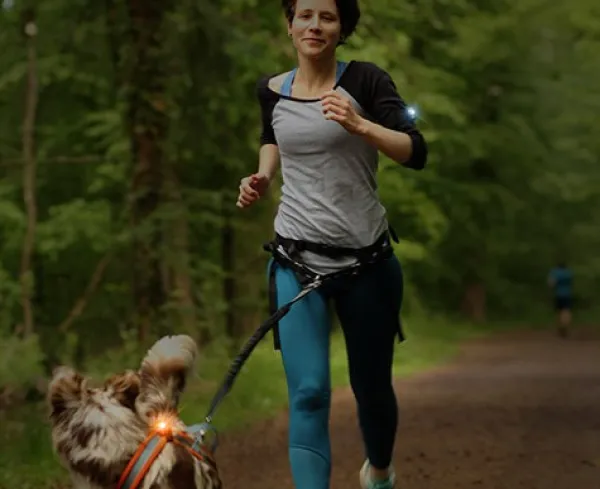 Orbiloc K9 Active Pack setti| Vilkkuvalot Ja Huomiotuotteet