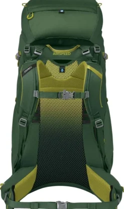 Osprey Reput Ja Rinkat^Ace 50 Green Canopy/Matcha Green Kids