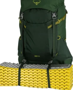 Osprey Reput Ja Rinkat^Ace 50 Green Canopy/Matcha Green Kids