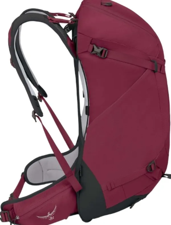 Osprey Reput Ja Rinkat^Hikelite 32 Chameleon/Black