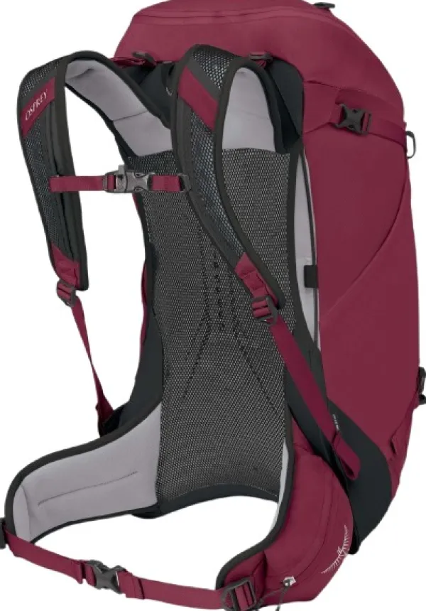 Osprey Reput Ja Rinkat^Hikelite 32 Chameleon/Black