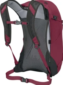 Osprey Reput Ja Rinkat^Hikelite 26 Chameleon/Black