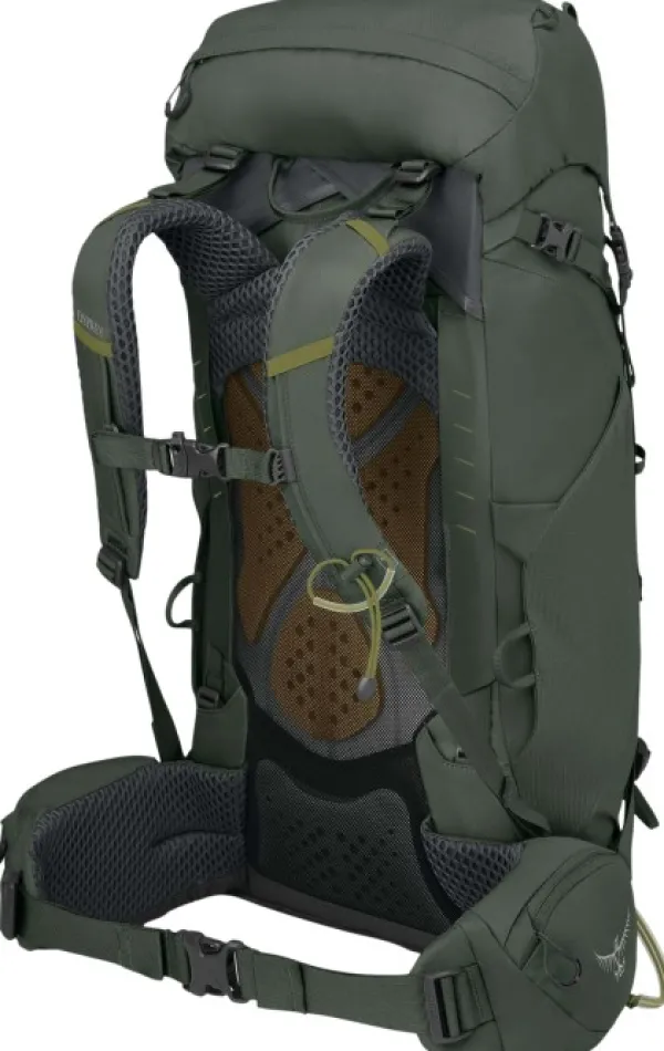 Osprey Reput Ja Rinkat^M's Kestrel 38 Bonsai Green