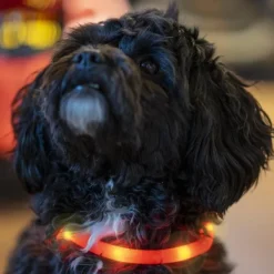 Ozami Halsband Flash Led vaaleanpunainen 35 cm| Vilkkuvalot Ja Huomiotuotteet