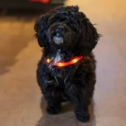 Ozami Halsband Flash Led vaaleanpunainen 35 cm| Vilkkuvalot Ja Huomiotuotteet