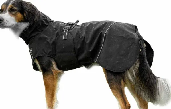 Ozami Sadetakit^Rain Jacket Black L 50 cm