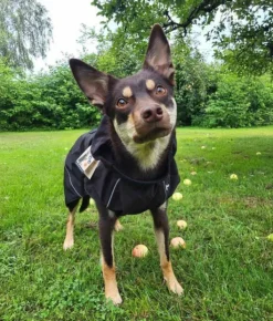 Ozami Rain Jacket Black S 36 cm| Sadetakit