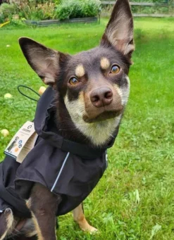 Ozami Sadetakit^Rain Jacket Black XL 55 cm