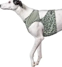 PAIKKA Viilennys Ja Aurinkosuoja^Cool Vest Green Leo L-XL