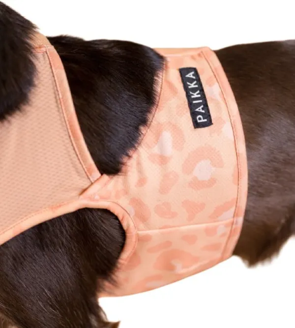 PAIKKA Cool Vest Peach S-M| Viilennys Ja Aurinkosuoja