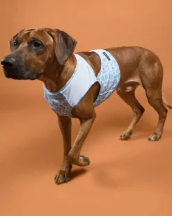 PAIKKA Viilennys Ja Aurinkosuoja^Cool Vest viilennysliivi, S-M, Snow Leo