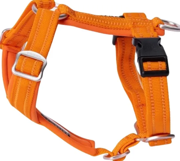 PAIKKA Easy Harness valjaat, S-L, Orange| Valjaat