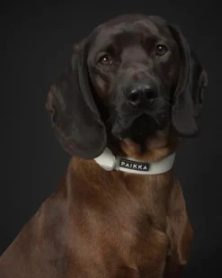 PAIKKA Glow Collar kaulapanta, 2,5x44-65 cm, White| Kaulapannat