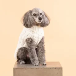 PAIKKA Handmade Knit koiran neulepusero, 20-30 cm, luonnonvalkoinen| Neuletakit