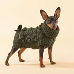 PAIKKA Handmade Knit koiran neulepusero, 20-30 cm, luonnonvalkoinen| Neuletakit