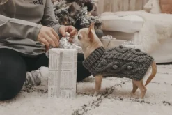 PAIKKA Handmade Knit koiran neulepusero, 20-30 cm, luonnonvalkoinen| Neuletakit