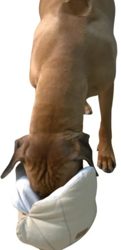 PAIKKA Pehmeät Lelut^Seashell Toy