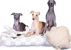 PAIKKA Pehmeät Lelut^Seashell Toy