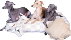 PAIKKA Pehmeät Lelut^Seashell Toy