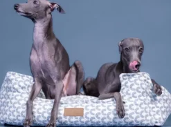 PAIKKA Koiranpedit^Treasure Bed Blue 70 x 60 cm