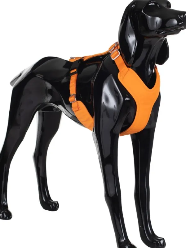 PAIKKA Visibility Harness koiran valjaat, S, oranssi| Valjaat