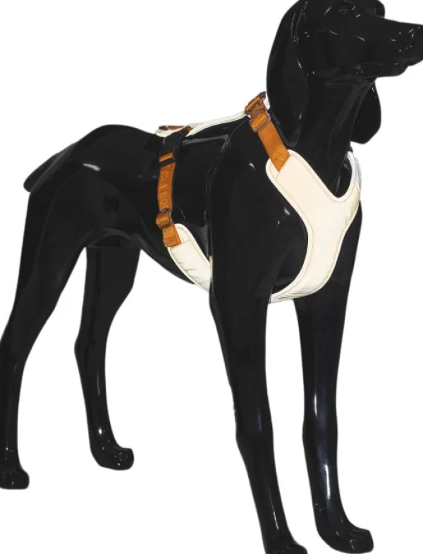 PAIKKA Valjaat^Visibility Harness koiran valjaat, M-L, oranssi