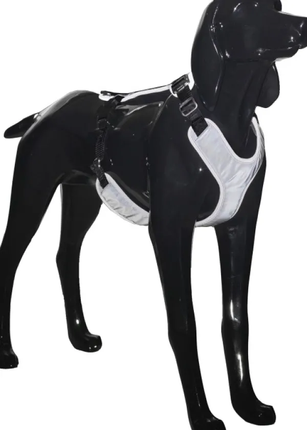PAIKKA Visibility Harness koiran valjaat, XL, Dark| Valjaat