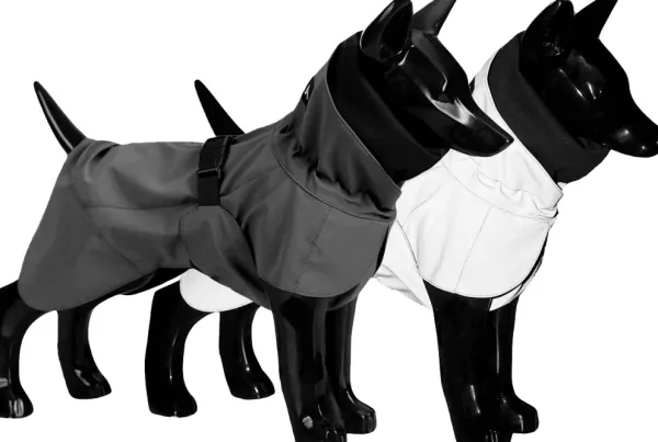 PAIKKA Visibility Raincoat koiran sadetakki, 35-50 cm, harmaa| Sadetakit