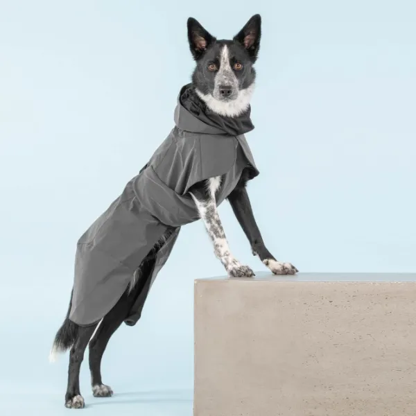 PAIKKA Visibility Raincoat koiran sadetakki, 35-50 cm, harmaa| Sadetakit