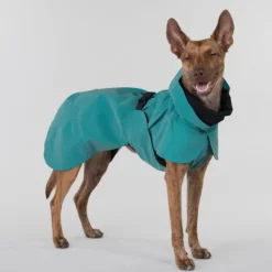 PAIKKA Sadetakit^Visibility Raincoat koiran sadetakki, 35 - 50 cm, petrooli