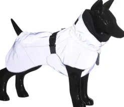 PAIKKA Talvitakit^Visibility Winter Jacket koiran talvitakki, 55-60 cm, Indigo