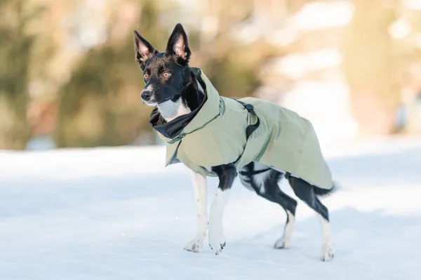 PAIKKA Visibility Winter Jacket talvitakki infrapunakangasvuorilla, 55-60 cm, tummanharmaa| Talvitakit