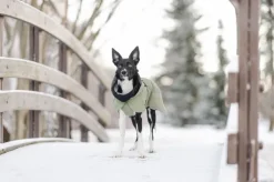 PAIKKA Visibility Winter Jacket talvitakki infrapunakangasvuorilla, 55-60 cm, tummanharmaa| Talvitakit