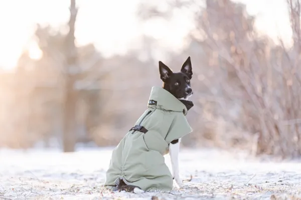 PAIKKA Visibility Winter Jacket talvitakki infrapunakangasvuorilla, 55-60 cm, tummanharmaa| Talvitakit