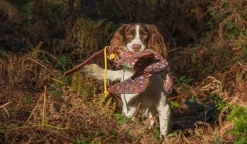 Paw of Sweden Dummyt/Siirry Dummyt^Pheasant Bird Dummy Wings/Tail 650 g