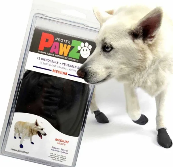 Pawz Dog Boots Black M| Koiran Tossut