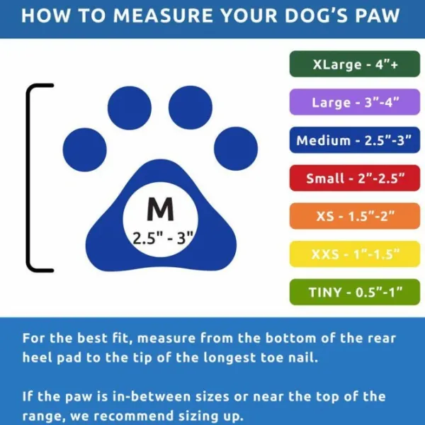 Pawz Dog Boots Black M| Koiran Tossut