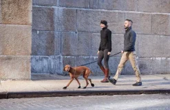 Pawz Dog Boots Black S| Koiran Tossut