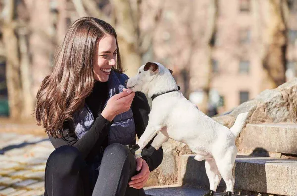 Pawz Koiran Tossut^Dog Boots Color Apple Green Tiny